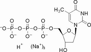 2′-脫氧胸苷-5′-三磷酸三鈉鹽